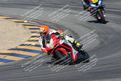 media/Feb-03-2024-SoCal Trackdays (Sat) [[767c60a41c]]/1-Turns 9 and 10 (940am)/